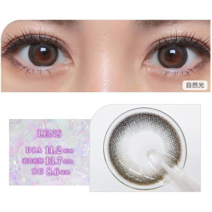 COLOR MAJORITY 1Day Gris Pearl カラーマジョリティー グリパール